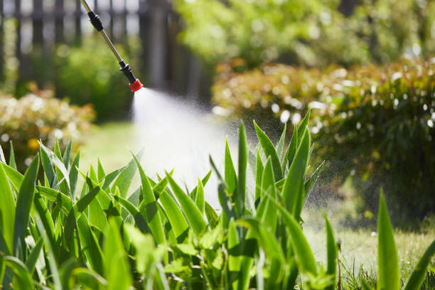 24/7 Emergency Mosquito Control experts in Weldon Spring, MO